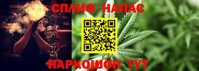 спиды Будённовск