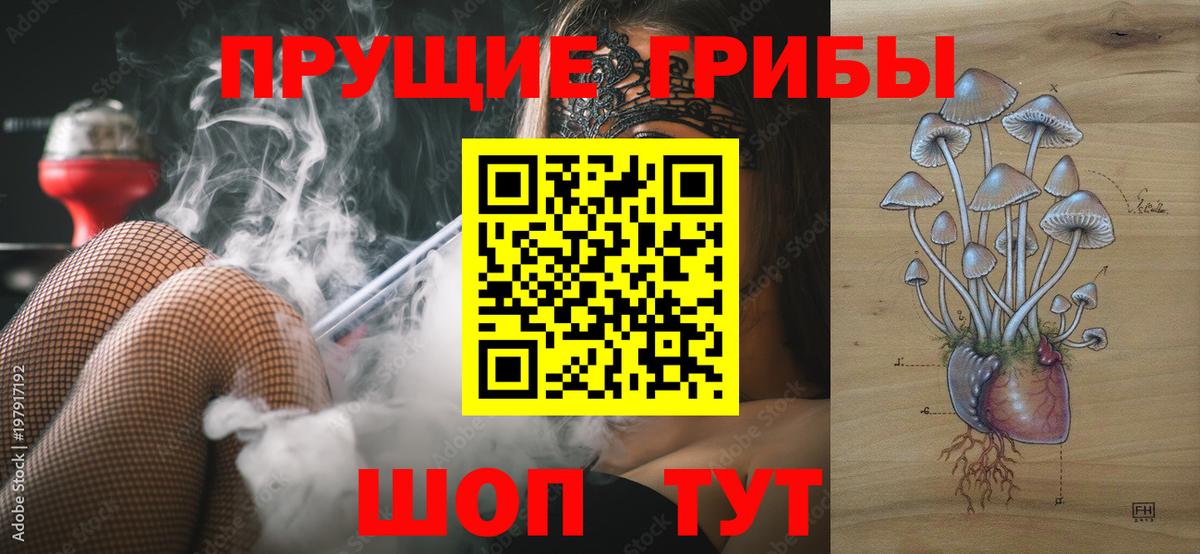 Псилоцибиновые грибы Magic Shrooms Тихорецк