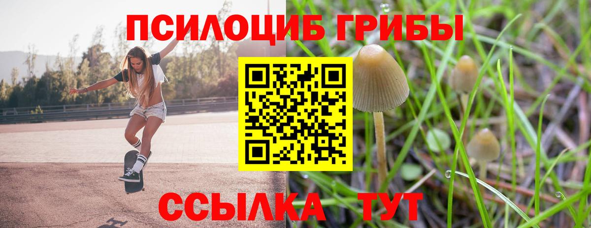 Галлюциногенные грибы мухоморы  Псилоцибиновые грибы ЛСД  Вход с VPN  Тихорецк 